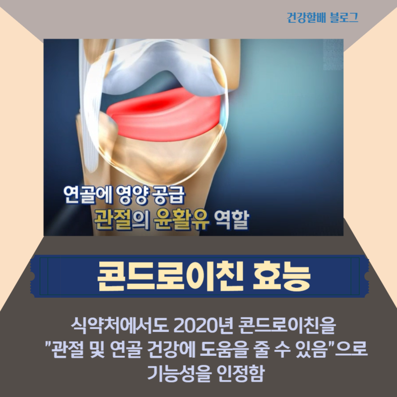 콘드로이틴의 의미, 효능, 부작용 요약