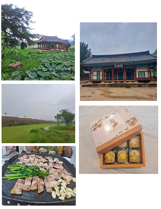  경북 여행 청도 어때? 청도 당일치기, 혼자여행 코스 소개 (1탄)
