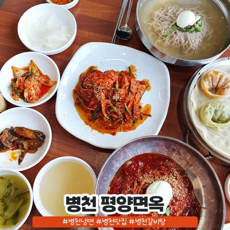 병천냉면 평양면옥 물냉 비냉 흡입했어요 병천냉면 평양면옥 물냉 비냉 흡입했어요