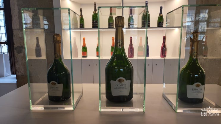  랭스(Reims)와 에페르네(Épernay) 여행 3 : 떼땅제(샴페인 투어)