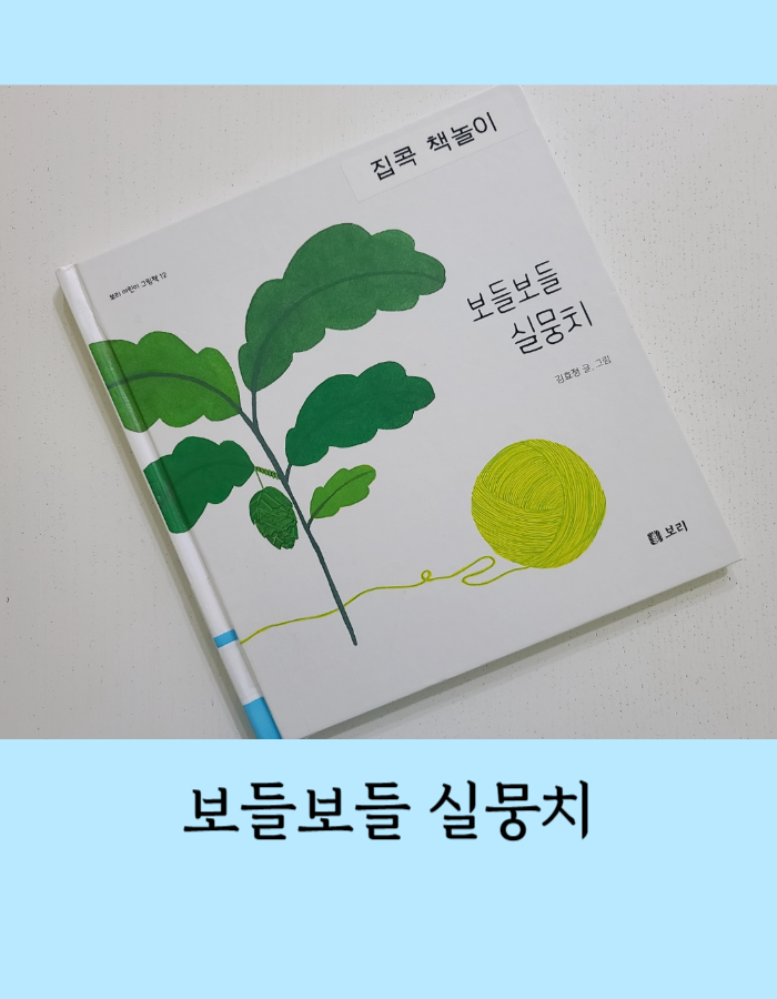  보들보들 실뭉치 그림책 읽고 독후활동 - 도롱이벌레의 집짓기