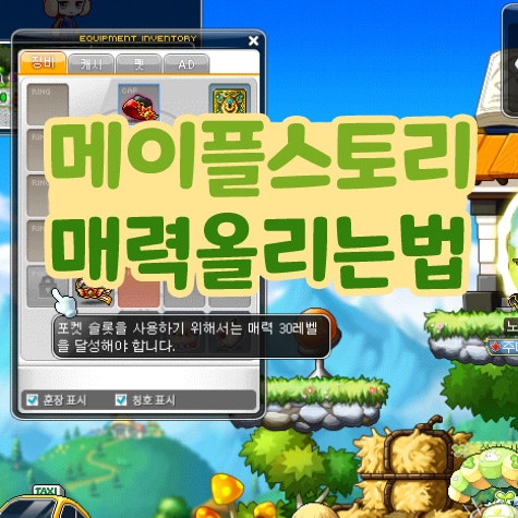  메이플스토리 포켓슬롯 매력 30 올리는 법 매력작