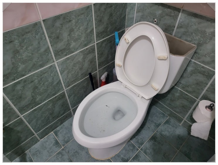  변기막힘 해결사 파란몽키 / 이태원 빌라 변기막힘 뚫기 / 이태원동집수리