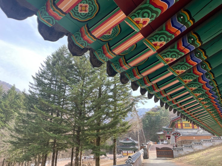  원주 치악산 구룡사 템플스테이 힐링 여행 / 교통 / 숙박