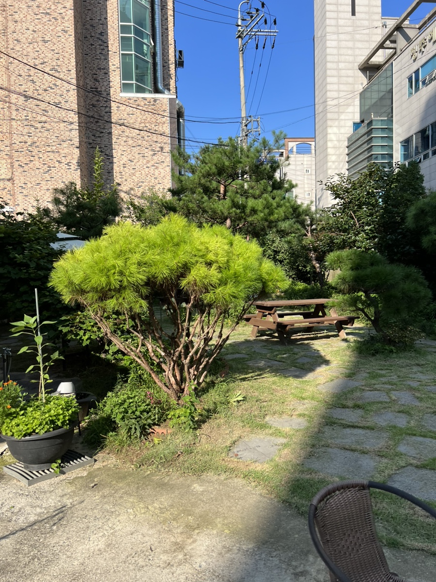 카페뜰 사진 4