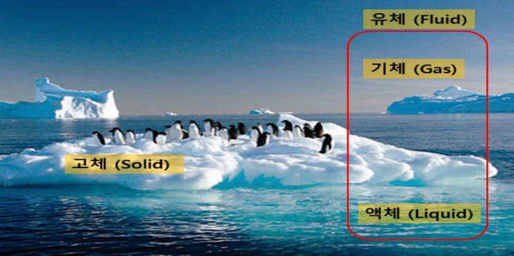 유체역학의 기본
