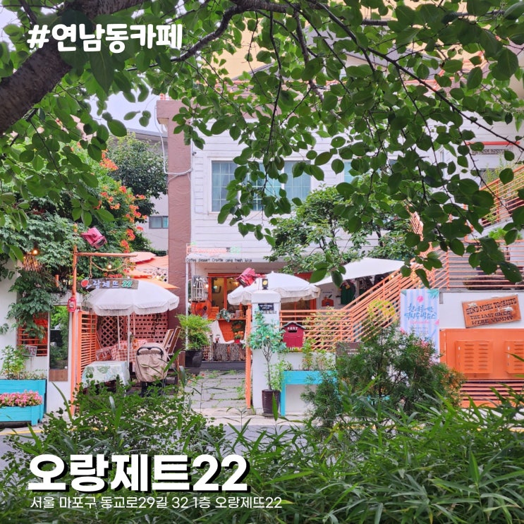  [서울 연남동 데이트] 제주 오렌지 컨셉이 이색적인 애견동반카페 오랑제트22