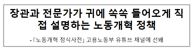 장관과 전문가가 귀에 쏙쏙 들어오게 직접 설명하는 노동개혁 정책 장관과 전문가가 귀에 쏙쏙 들어오게 직접 설명하는 노동개혁 정책
