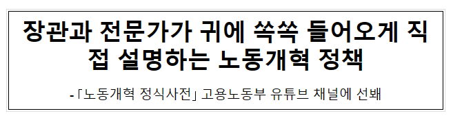 장관과 전문가가 귀에 쏙쏙 들어오게 직접 설명하는 노동개혁 정책