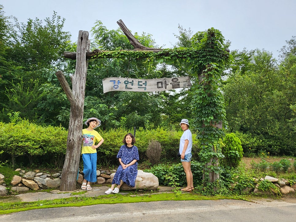 강언덕 부엉이마을 사진 4