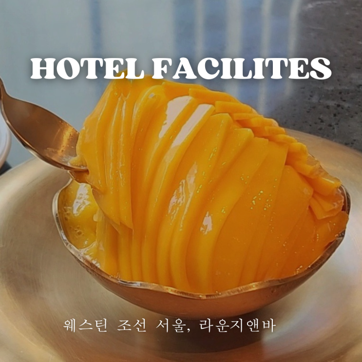  웨스틴 조선 서울 라운지앤바에서, 애플망고빙수 먹어볼까요?