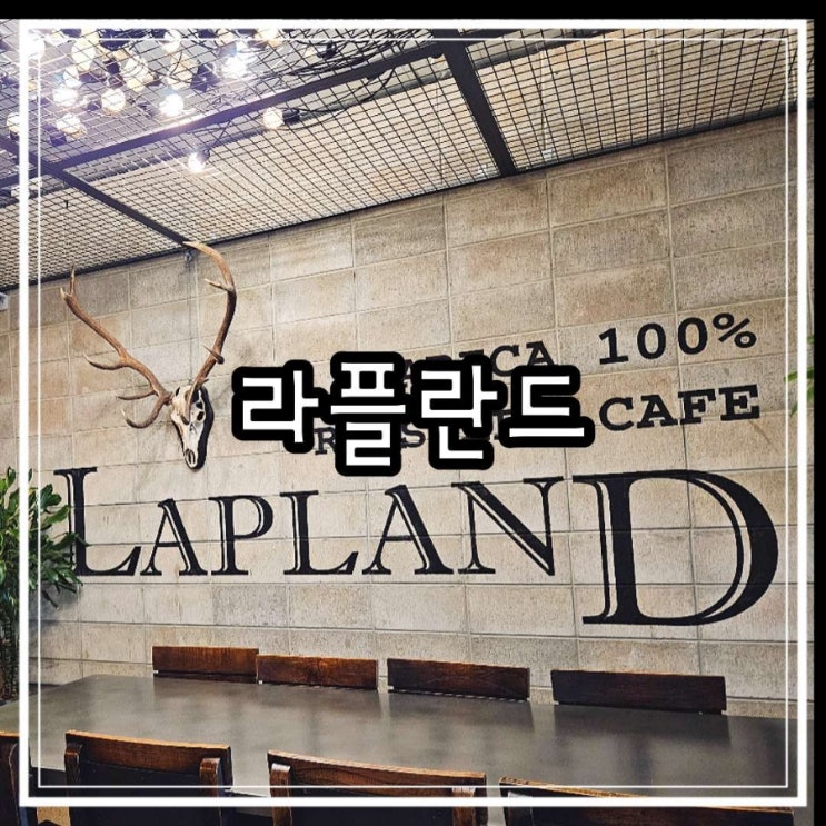  파주 24시 카페 이제 아님 라플란드 애견동반 가능 대형 베이커리 카페
