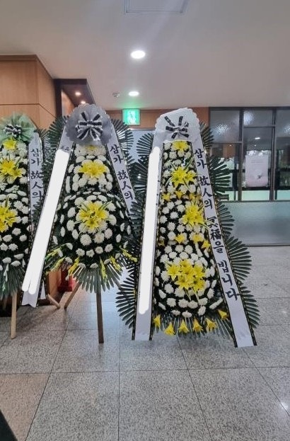 올리브 화환 의미