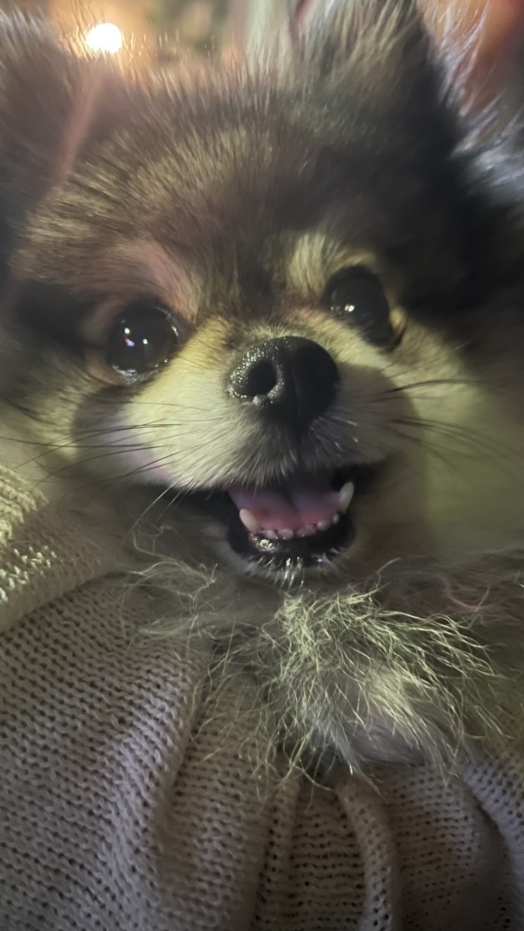  엄청 신난 꾸꾸