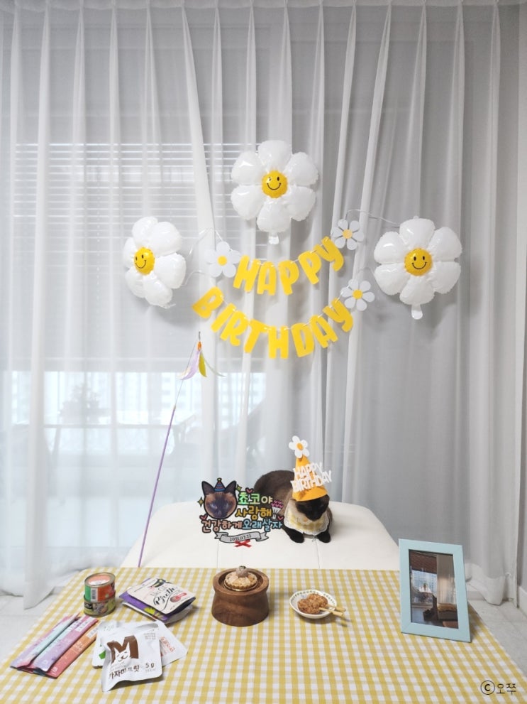  [내돈내산] 쵸코 10th 생일파티 (대환장파티 현장)
