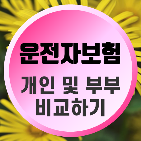  부부운전자보험 비용 특약 및 개인운전자보험 가격 보상 둘러보기