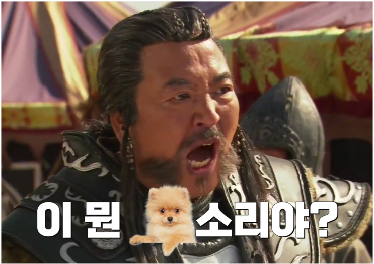 거북섬 - 시흥시청 건축과 거북섬 - 시흥시청 건축과