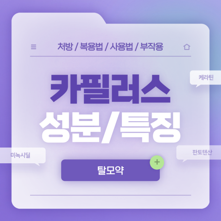  탈모약 : 카필러스 성분 및 특징 【#탈모치료제 #미녹시딜 #케라틴 #판토텐산 #카필러스캡슐 #카필러스액 #카필러스정 #가격】