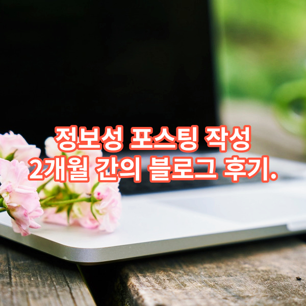 정보성 포스팅 작성, 2개월간의 블로그 후기.