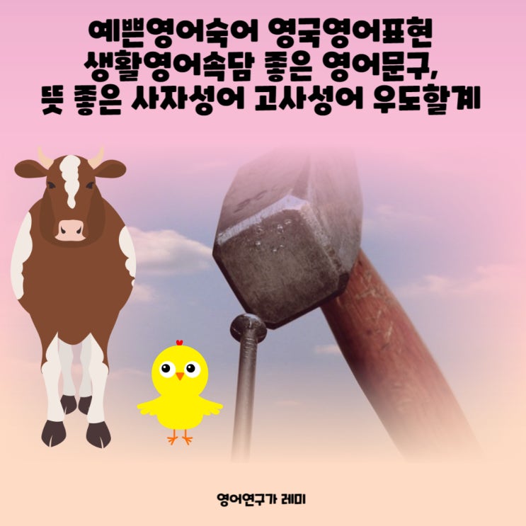 영어회화 영어공부 혼자하기 예쁜영어숙어 영국영어표현 생활영어속담 좋은 영어문구, 뜻 좋은 사자성어 고사성어 우도할계 영어회화 영어공부 혼자하기 예쁜영어숙어 영국영어표현 생활영어속담 좋은 영어문구, 뜻 좋은 사자성어 고사성어 우도할계
