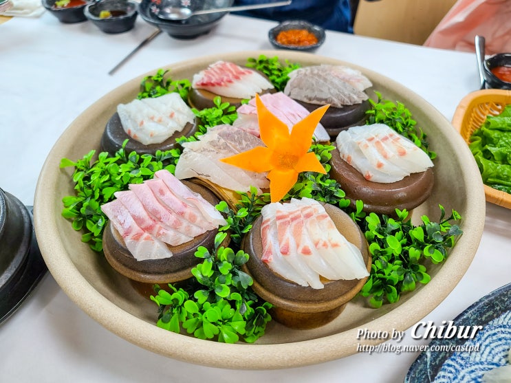  제주 서귀포 횟집 가성비 현지인 맛집 쌍둥이횟집