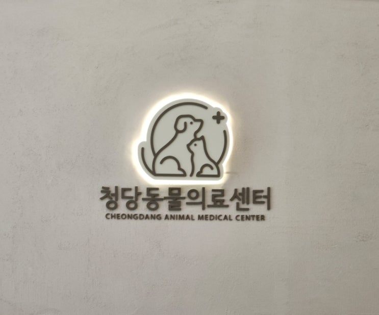  청당동물의료센터 내돈내산 방문후기_천안동물병원 추천