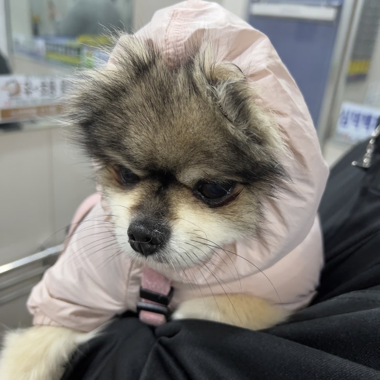  시무룩 꾸꾸씨