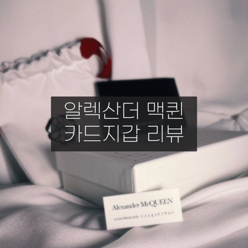 고급미 뿜뿜 알렉산더 맥퀸 카드지갑 리뷰