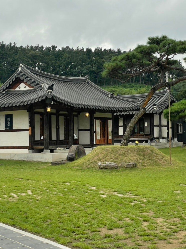 하목정 하목정배롱나무 배롱나무명소 카페묘운 묘운 대구한옥카페 하빈카페 하목정 하목정배롱나무 배롱나무명소 카페묘운 묘운 대구한옥카페 하빈카페