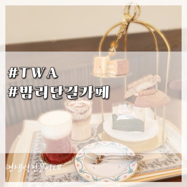  일산 애견동반카페 TWA 밤리단길점 후회없는 보넷라떼 버터바
