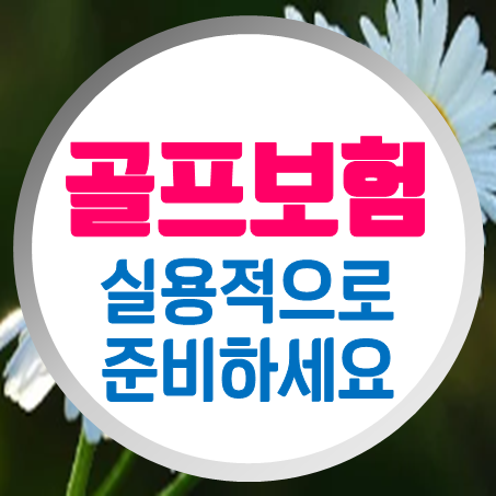  골프홀인원보험 비교 실용적인 홀인원골프보험 추천 회사를 만나보세요.