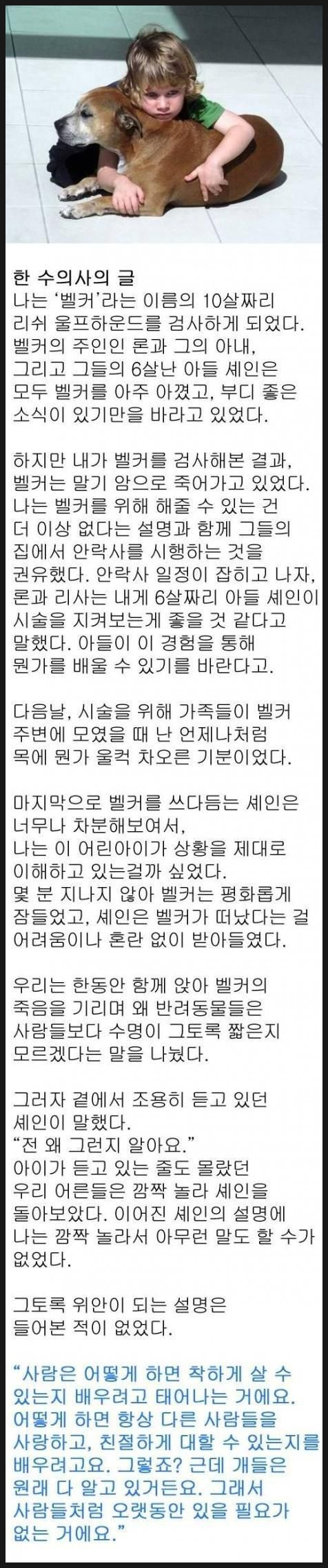 반려동물의 수명이 사람들보다 짧은 이유 반려동물의 수명이 사람들보다 짧은 이유