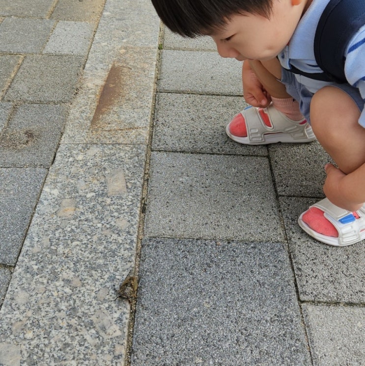 육아정보 부모와 함께하는 아이가 정서발달에 좋아요