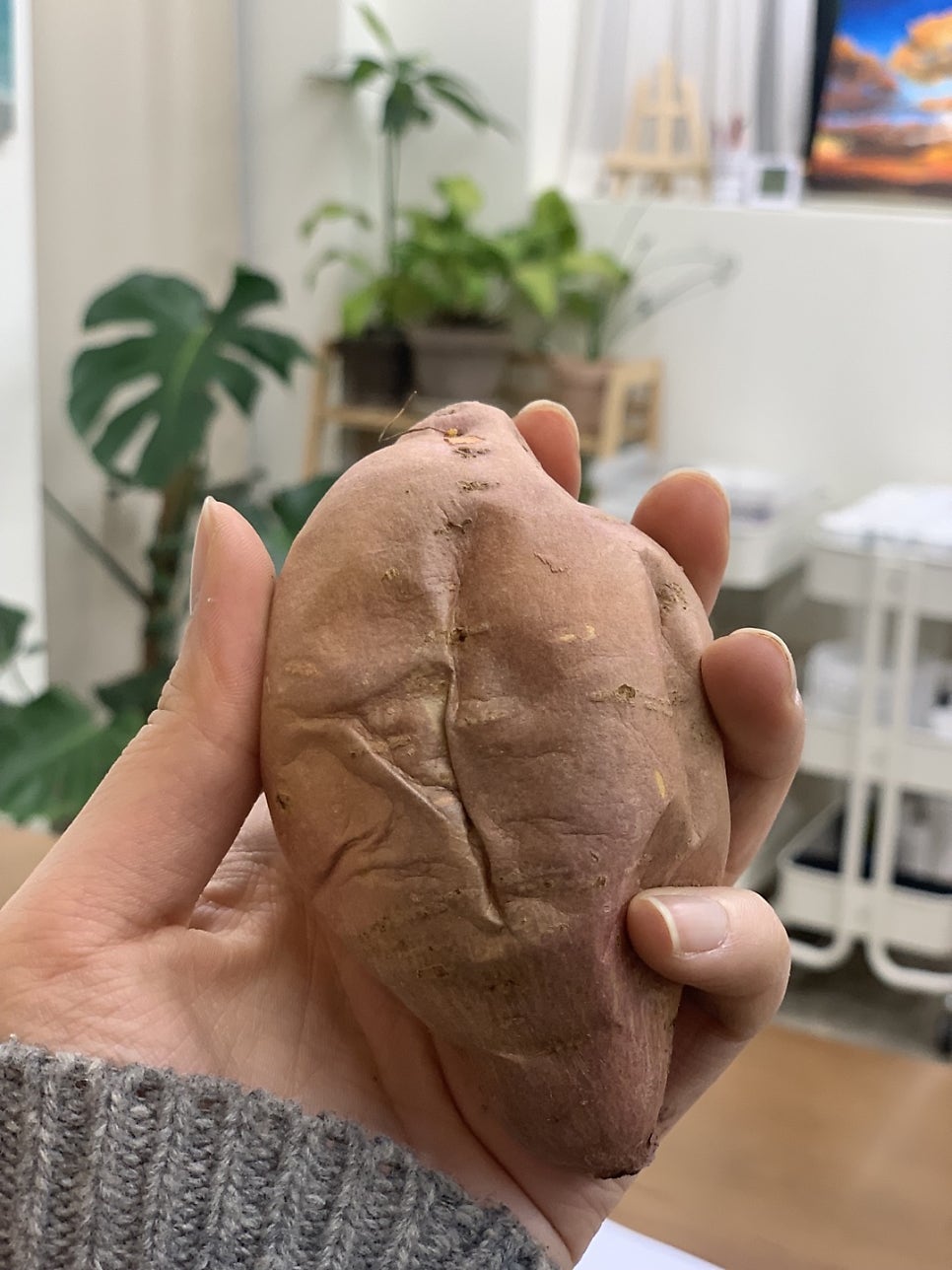 정심한약국 사진 2