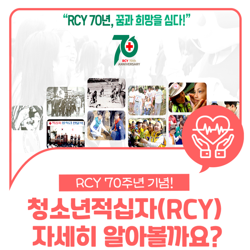 RCY 70주년 기념! 청소년적십자(RCY)의 모든 것! (4대 활동/신청방법) : 네이버 블로그