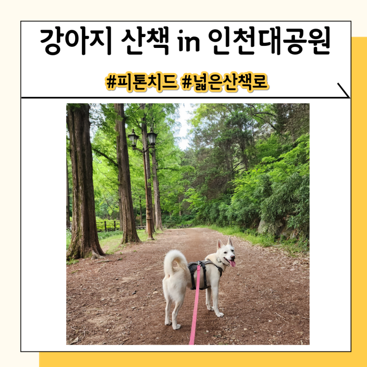 인천 강아지 산책하기 좋은 곳 - 사계절이 아름다운 인천대공원