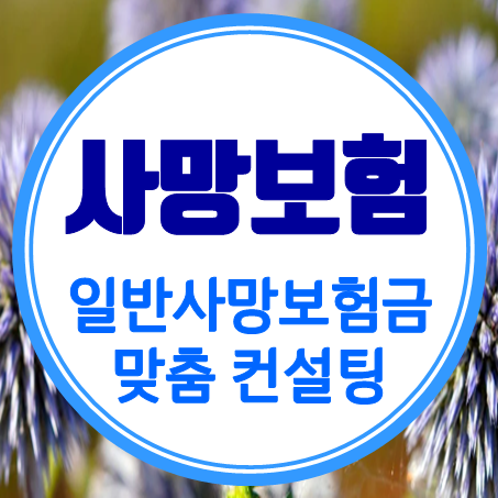  부모님 사망보험 가입 알아보신다면 꼭 일반사망보험금 비교 후 준비하세요.