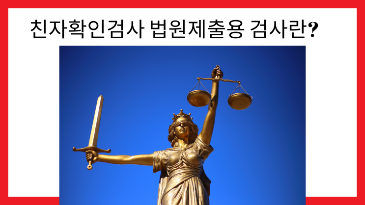친자확인검사 법원제출용 검사란?