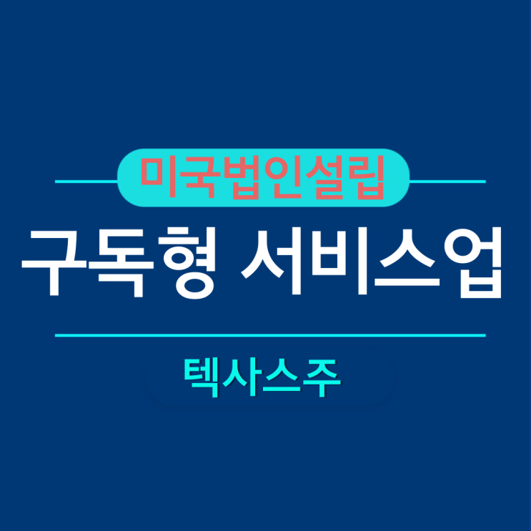  구독형 서비스업체 - 텍사스주 신규 미국 법인 설립