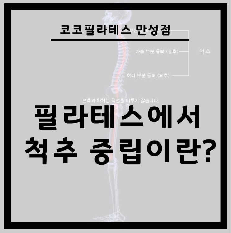  전주 만성동 필라테스 척추 중립이란 무엇일까?