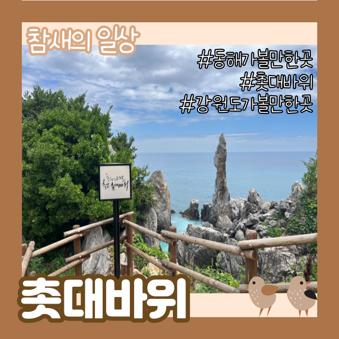  강원도 동해시 '추암촛대바위' 출렁다리와 정자, 추암동 가볼 만한 곳