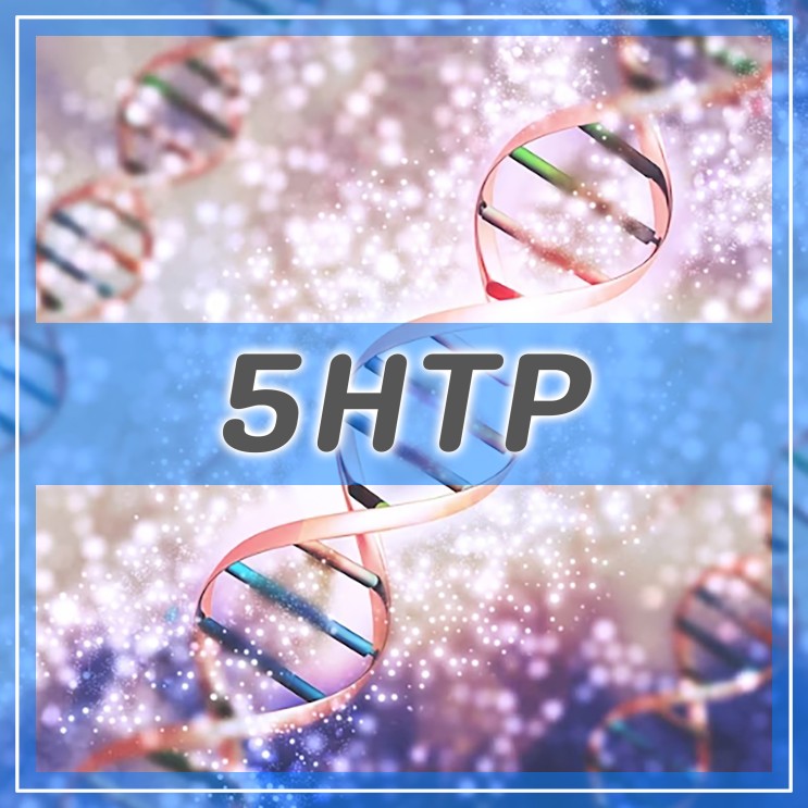 5HTP(5-하이드록시트립토판) 트립토판에서 추출된 세로토닌 중간체
