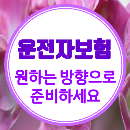  운전자보험 환급 금액과 보장 만기 환급형운전자보험 가입했을 때 장점 단점