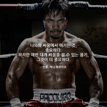 복싱세계챔피언 : 매니 파퀴아오 생애/전적/명언