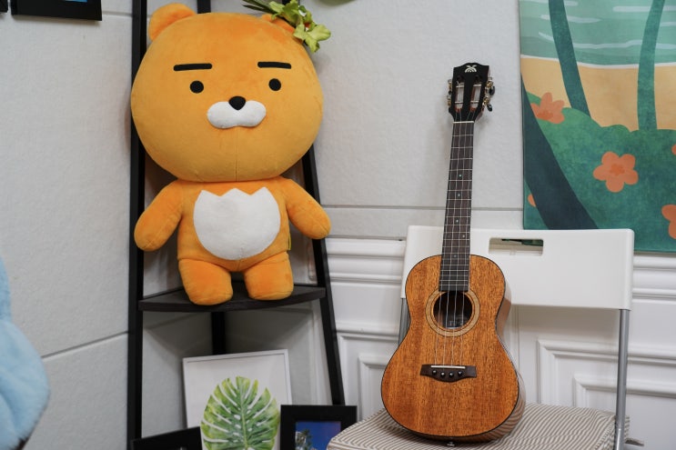  우쿨렐레 독학, 가능할까? 장단점 톺아보기