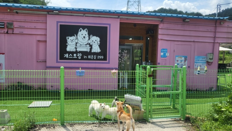 사진 2