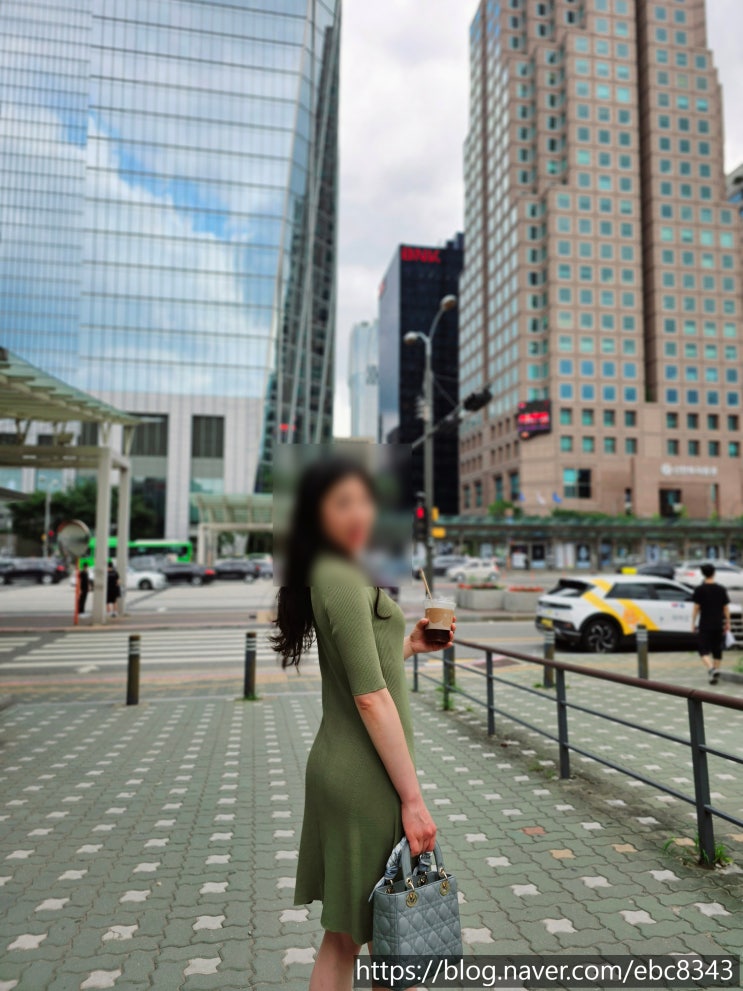  디올 : 레이디 디올