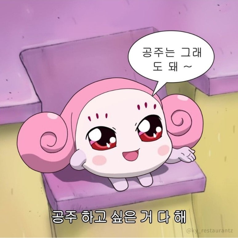 엠에스띠아 이미지