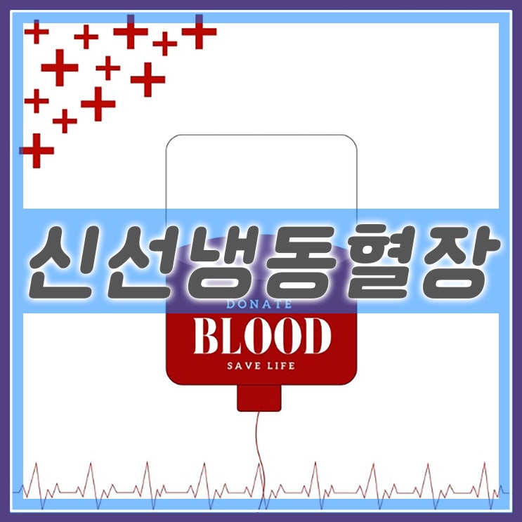FFP 수혈 시간 신선 냉동 혈장 혈액 특징