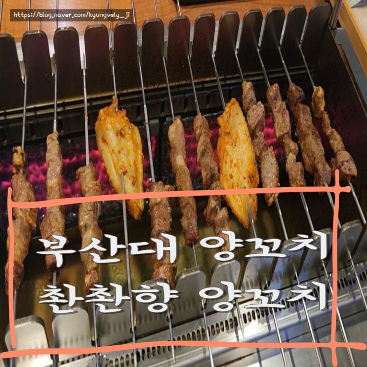 부산대역 양꼬치｜양갈비 맛집 '촨촨향 양꼬치'